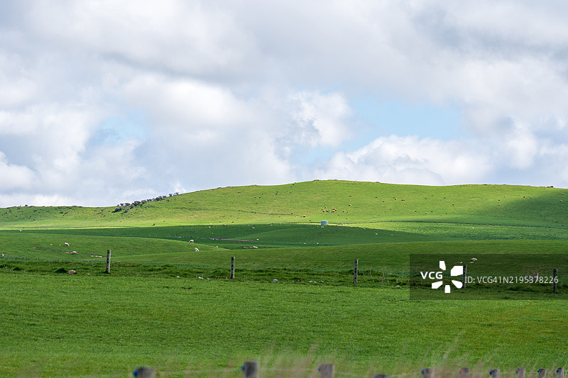 一匹马在蓝天白云下的草原上图片素材