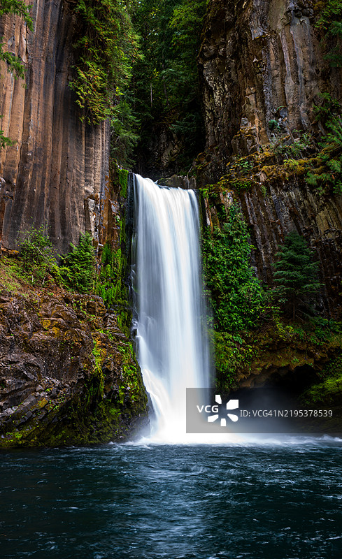 美国俄勒冈州道格拉斯县森林中的瀑布景观图片素材