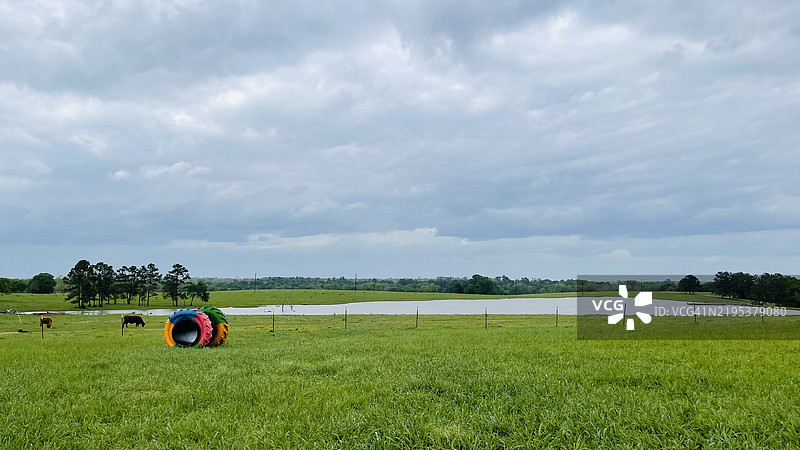 德克萨斯州格赖姆斯县的天空下的田野美景图片素材