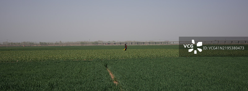 清澈天空下的田野美景， 中国图片素材