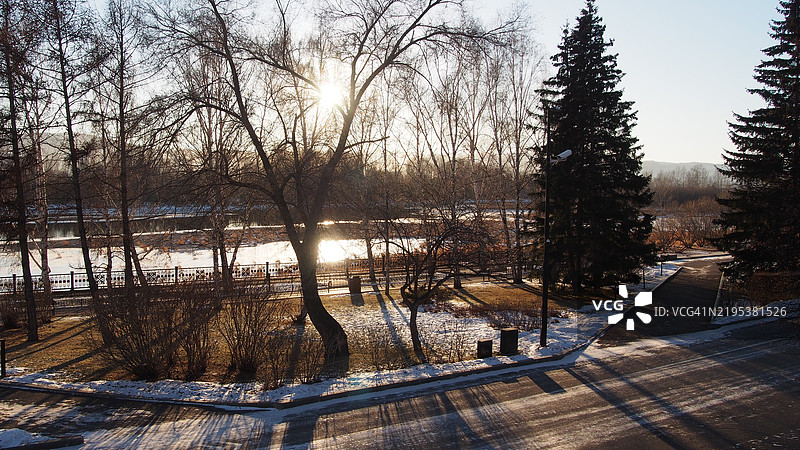 冬季湖边的树木与天空相映成趣图片素材