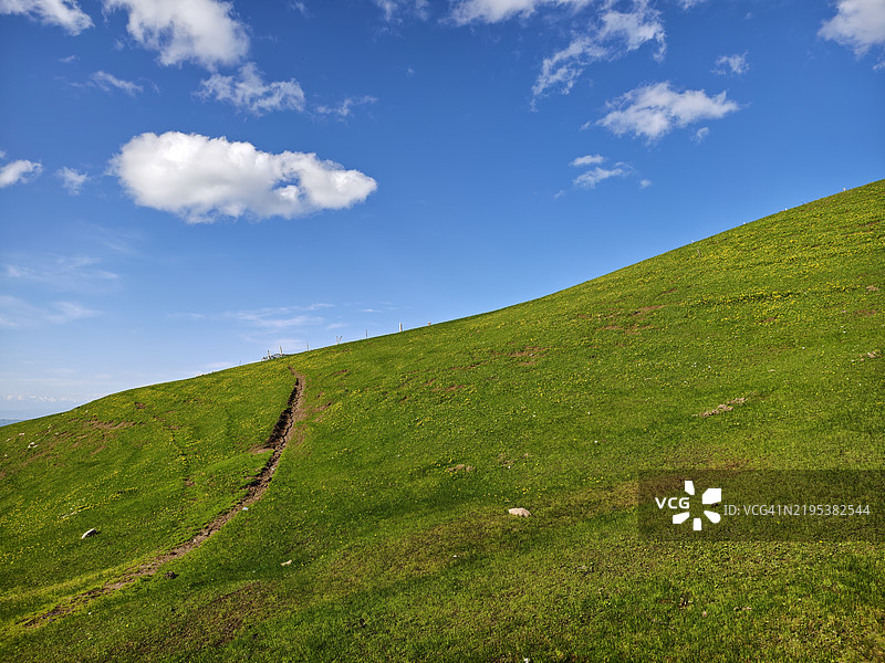 新疆伊犁的天空下的田野美景图片素材