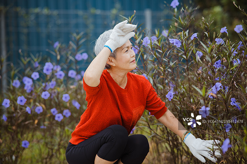 一位年长女性坐在花园里，擦拭额头上的汗水。园艺季节图片素材