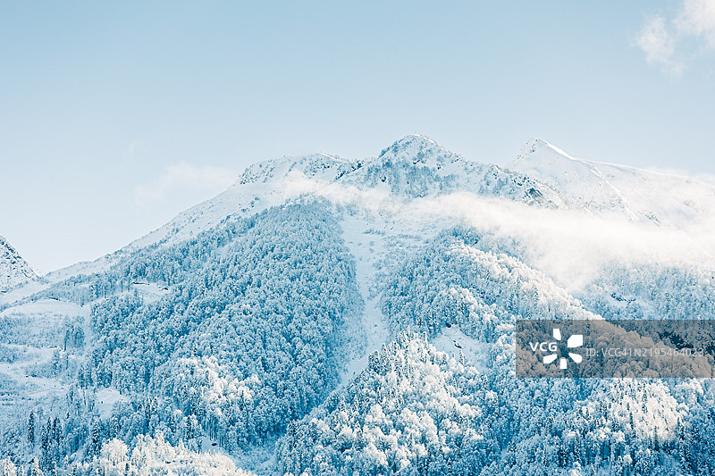 雪山和森林高耸入云图片素材