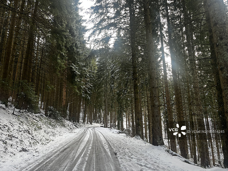 冬季法国蒙托德森林中的空旷道路图片素材