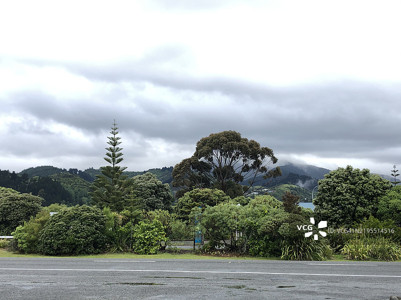 新西兰的天空下的树木图片素材