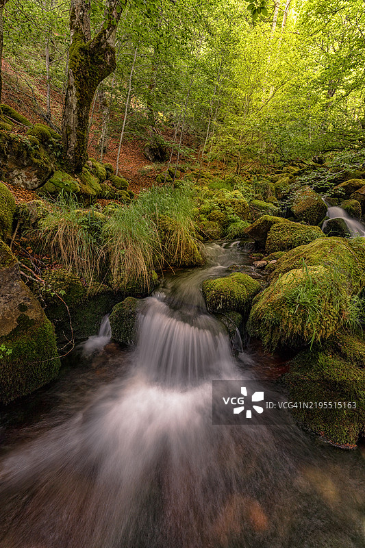 西班牙森林中的瀑布美景图片素材
