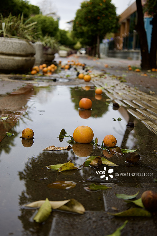 高角度视图的橙子在步道上图片素材