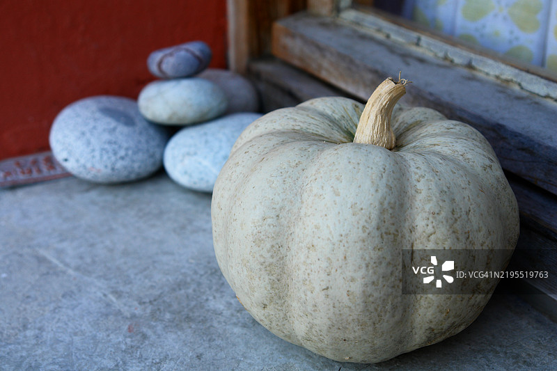 土耳其阿尔特温的南瓜特写镜头图片素材