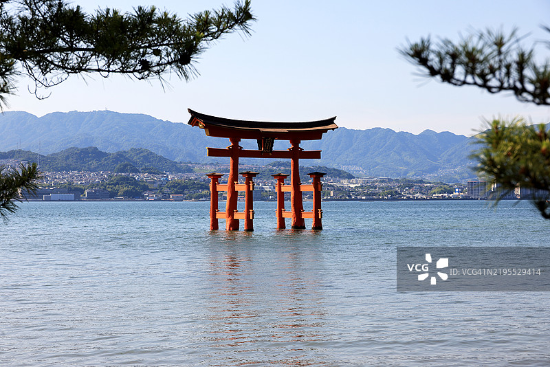 日本宫岛严岛神社前著名的“漂浮”鸟居，背景是山脉和树木。图片素材