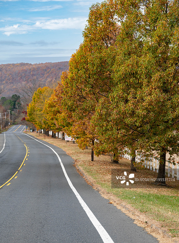秋天的空旷道路旁边是树木，位于新泽西州的长谷。图片素材