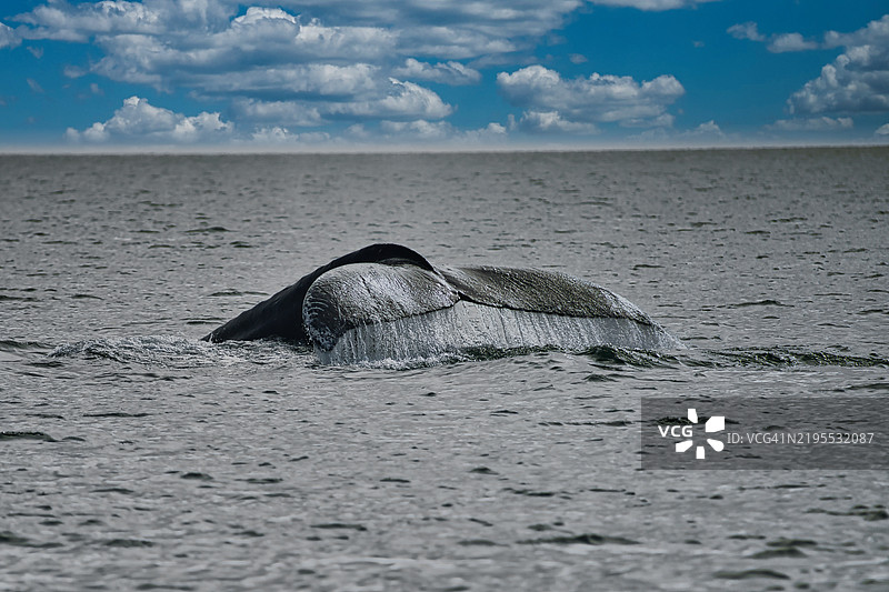 阿拉斯加，美国，海洋与天空的美丽景色图片素材