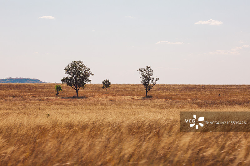 马达加斯加图片素材
