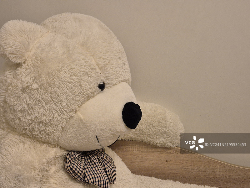 靠近墙壁的毛绒玩具特写图片素材