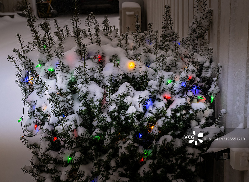 五彩缤纷的灯光照亮了黑暗的季节图片素材