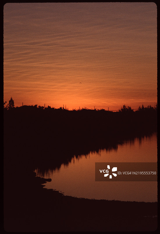 沼泽日落图片素材