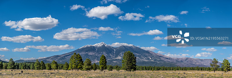白雪皑皑的旧金山峰图片素材
