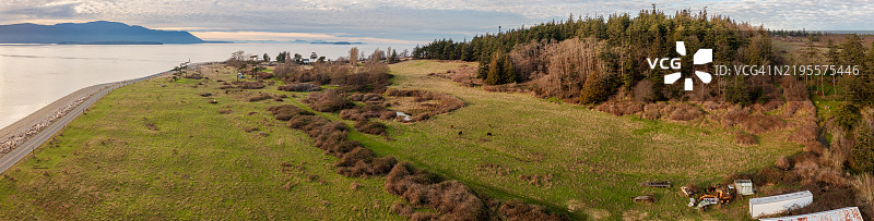 华盛顿州拉米岛西侧的无人机航拍视图。图片素材