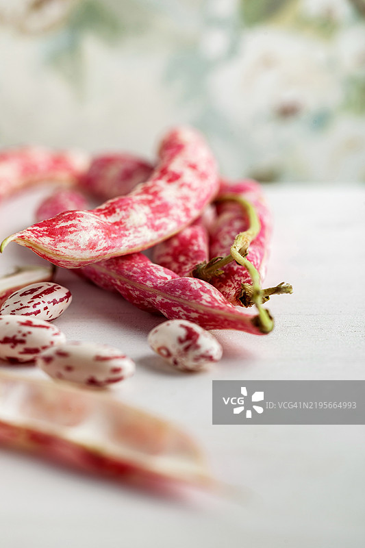 红 kidney 豆、蔓越莓豆、波尔洛蒂豆及豆荚。新鲜的斑点豆在白色背景上。图片素材