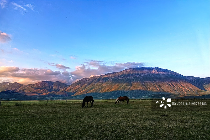 卡斯特卢乔平原上的马图片素材