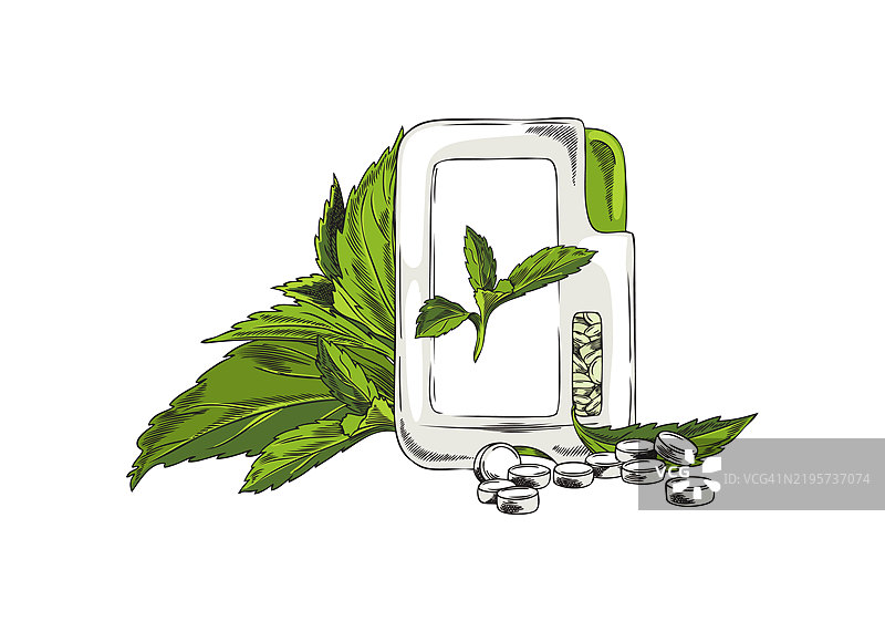 含有叶子素描的甜叶菊糖丸包装盒，矢量自然有机甜味植物，糖替代品超级食品图片素材