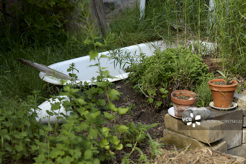 被杂草和过度生长的绿植包围的废弃白色浴缸，前景有陶土花盆和混凝土块。图片素材
