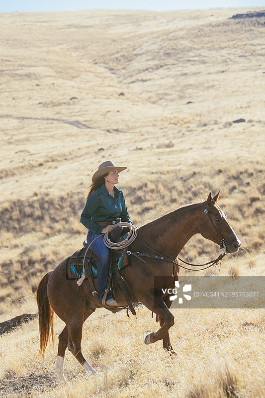 穿着蓝色衬衫和牛仔帽的女人骑着棕色马穿过干燥的草地，位于美国爱达荷州。图片素材