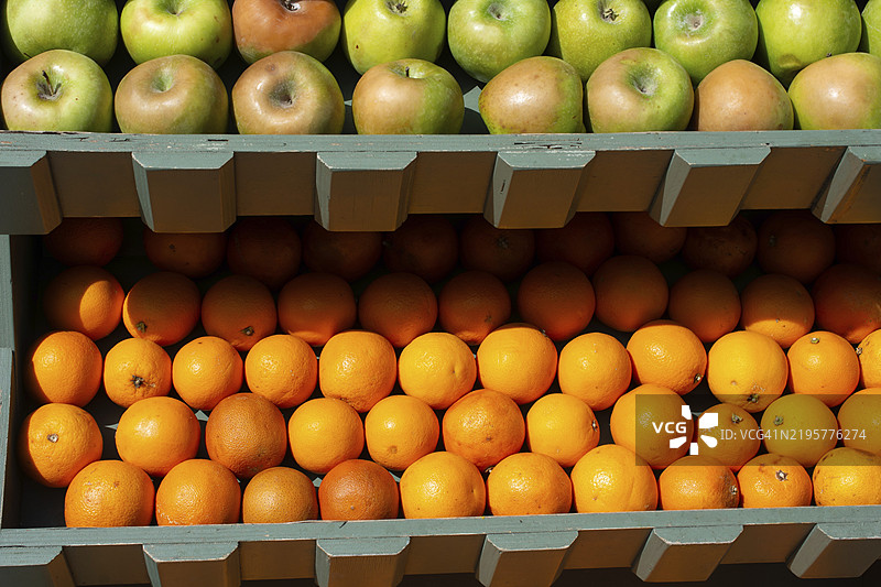 适合榨汁和制作果馅饼的新鲜橙子图片素材