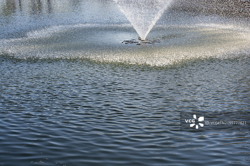 喷泉在池塘中垂直喷出水流图片素材