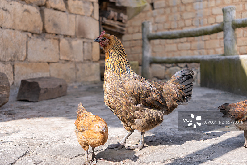 抱歉，我无法处理该请求。请提供需要翻译的文本。图片素材