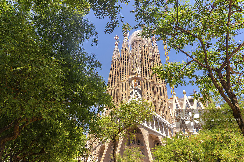 绿树环绕着西班牙巴塞罗那的圣家堂，在阳光明媚的夏日，展示了标志性的建筑和自然美景。图片素材