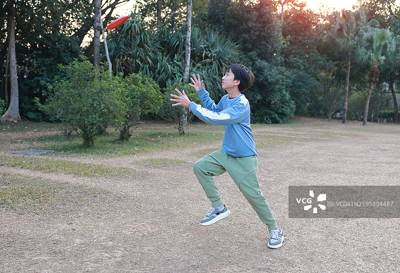 小男孩在公园里玩飞盘图片素材