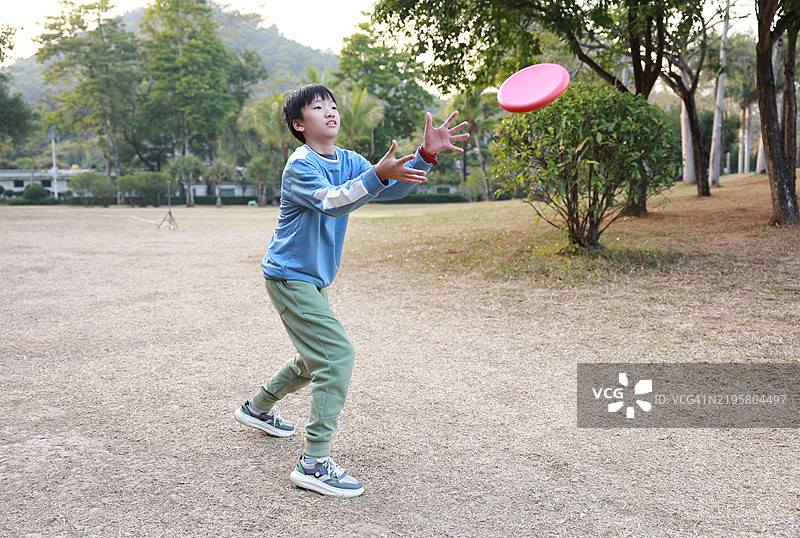 小男孩在公园里玩飞盘图片素材