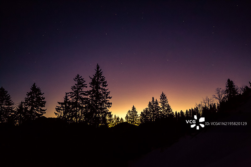 日出时分，树木的剪影映衬着多彩的天空图片素材