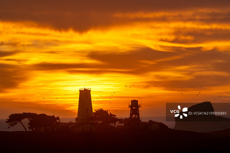 加州南部大苏尔海岸皮埃德拉斯布兰卡斯灯塔的日落天空图片素材