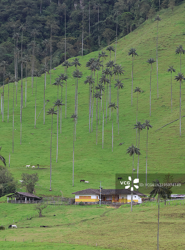科科拉谷，萨伦托图片素材