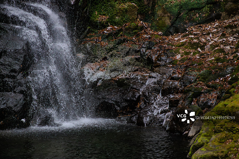 水滴形成冰柱图片素材