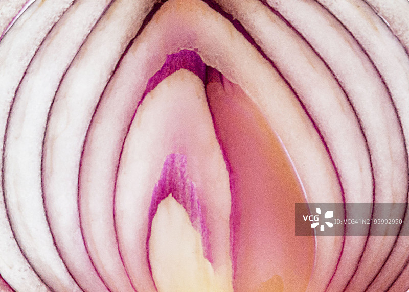 背光下的洋葱切片特写图像图片素材