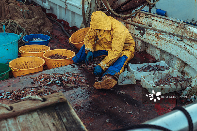 地中海渔业：渔民在拖网船甲板上工作图片素材