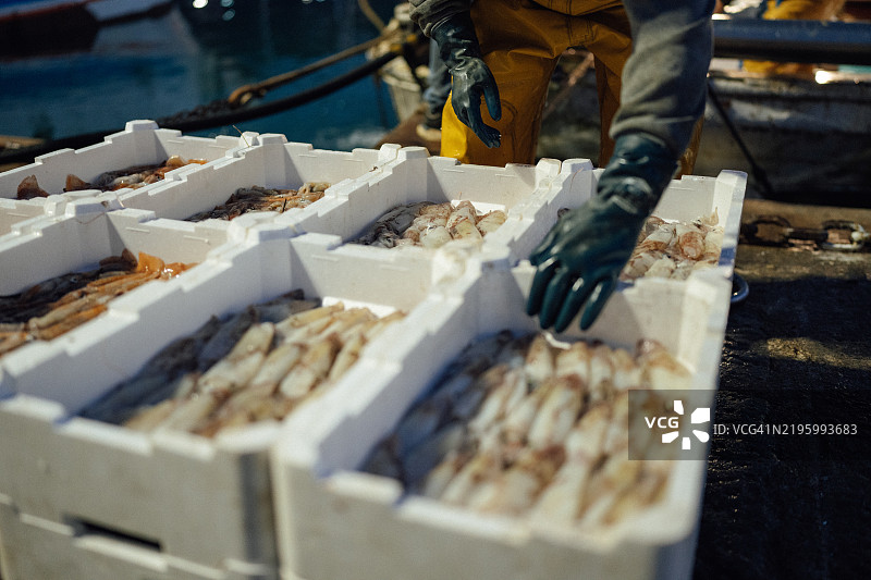 地中海渔业：港口的拖网渔船图片素材