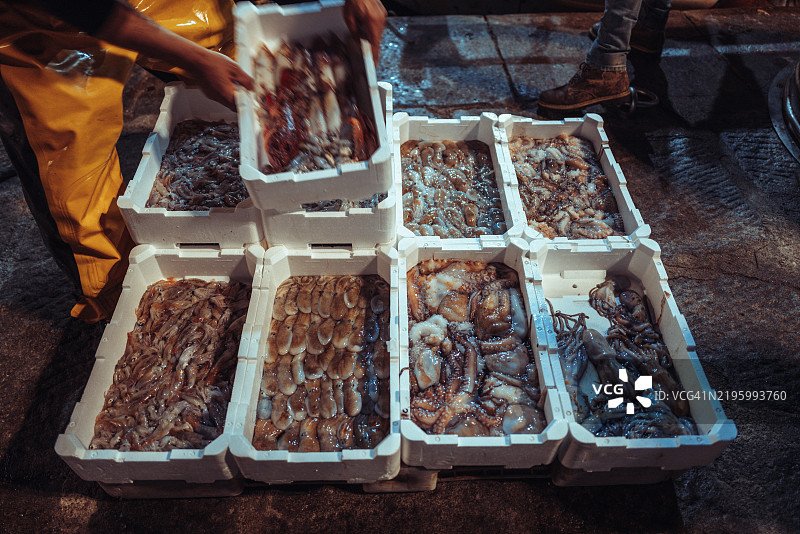 地中海渔业：渔民正在卸鱼箱图片素材