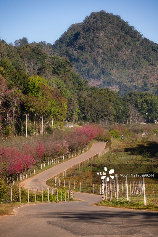 一条路旁有栅栏，背景是一座山。图片素材