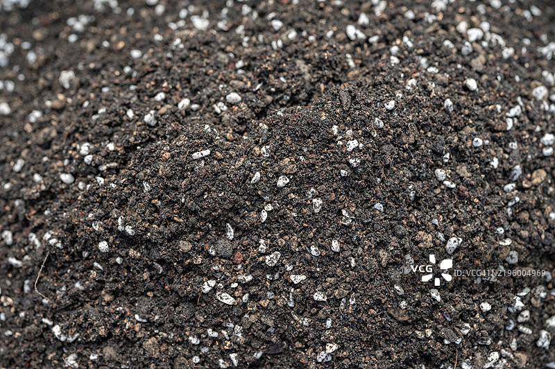 适合种植仙人掌和多肉植物的优质盆栽土壤混合物的全景照片。图片素材