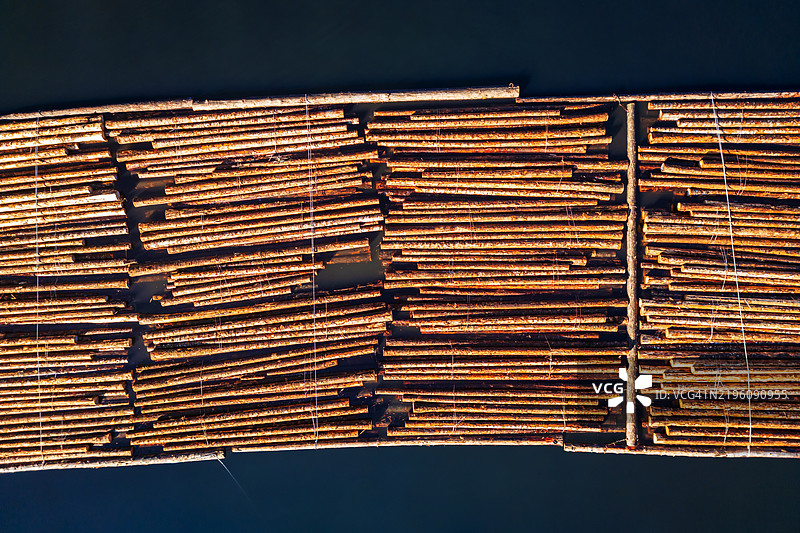 温哥华岛的伐木行业图片素材