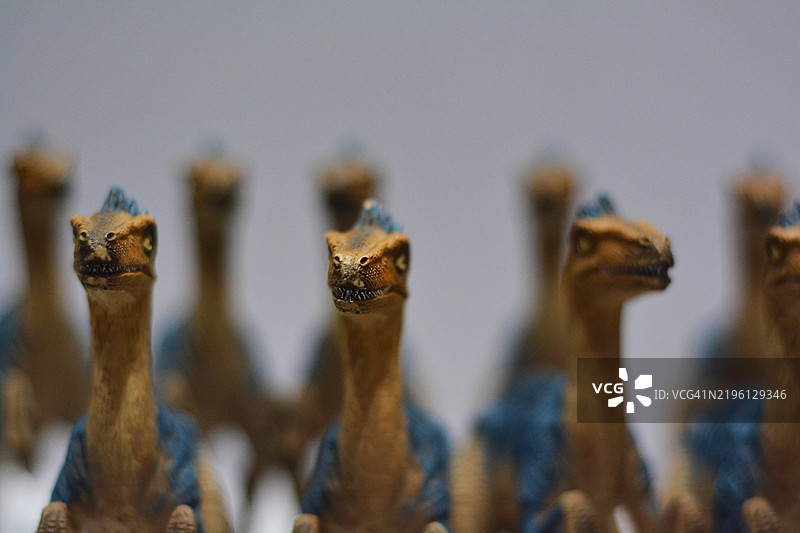排成一排的恐龙玩具图片素材