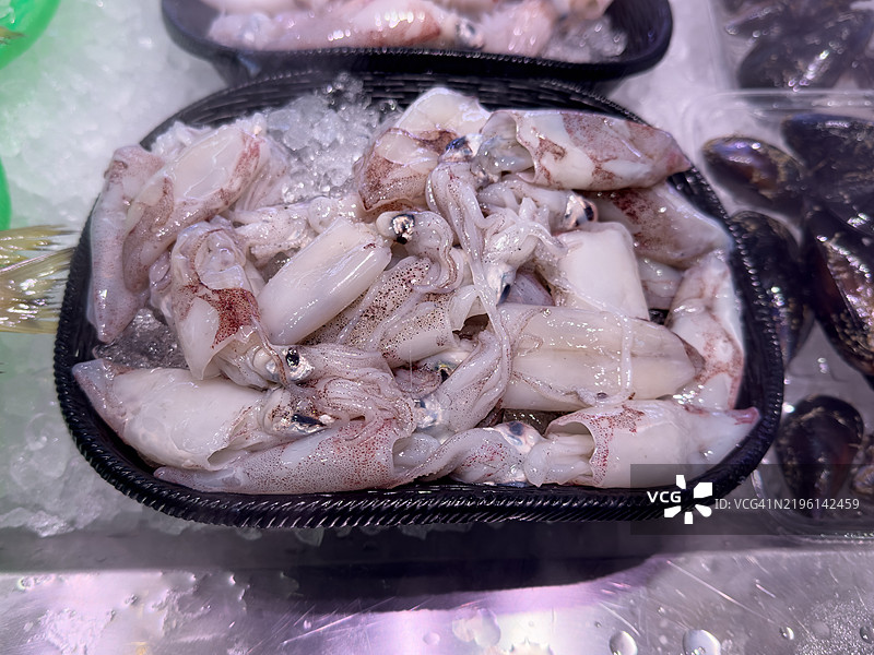 剑尖鱿鱼图片素材