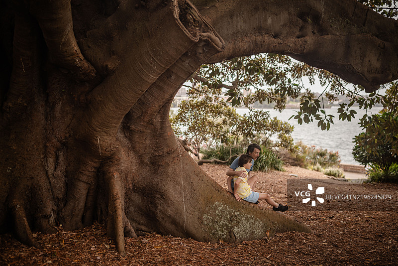 悉尼的阴凉树下，家庭成员享受阳光明媚的周末时光。图片素材