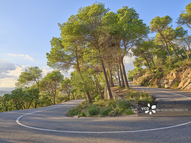 马略卡岛日落时分的森林风景曲折道路图片素材