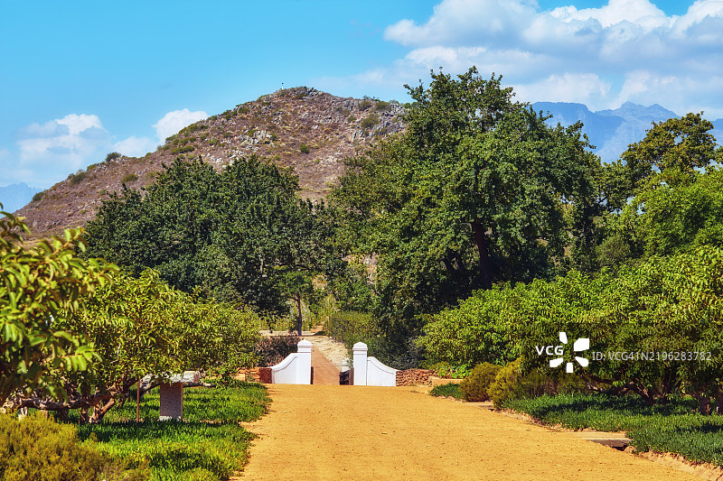 南非葡萄酒的故乡图片素材