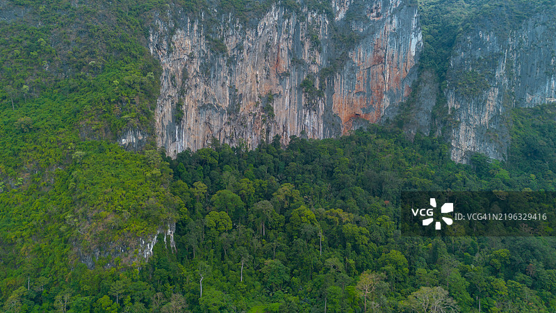 山旁的森林。图片素材